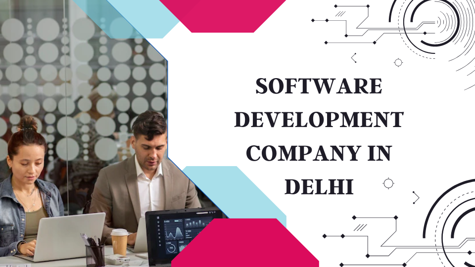 software development company in delhi